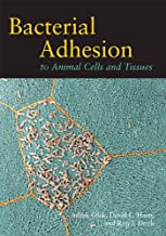 BACTERIAL ADHESION TO ANIMAL CELLS AND TISSUES